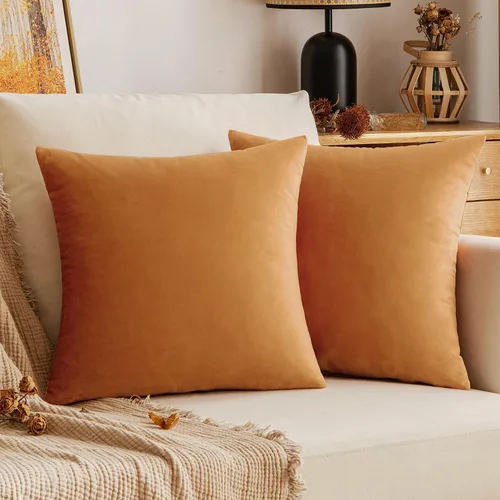 Vista 12 de VAKADO Juego de 2 fundas de almohada de terciopelo beige crema de 16 x 16 pulgadas, fundas de cojín cuadradas suaves y sólidas, decoración del hogar