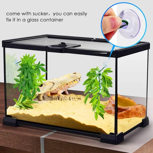 Vista 3 de KATUMO Plantas de reptiles, 3 plantas colgantes de anfibios con ventosa para lagartos, geckos, dragones barbudos, serpientes, cangrejos ermitaños