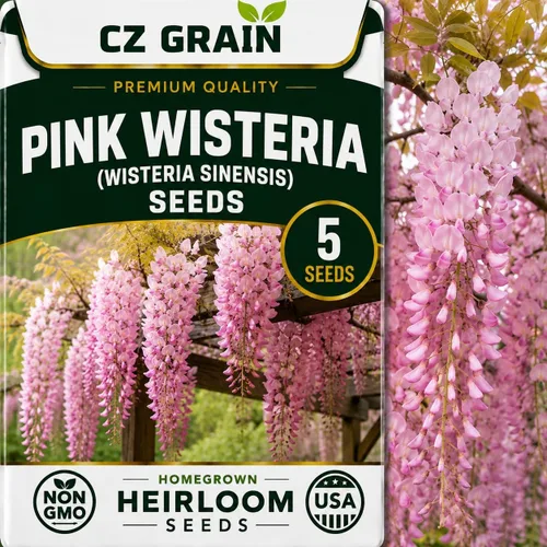 Vista 46 de CZ Grain Semillas para plantar, 40 pequeñas mezclas de calabaza