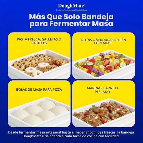 Vista 7 de 1 bandeja a prueba de masa de pizza con 1 tapa, capacidad para 6 bolas de masa, fácil de limpiar, duradera, certificado NSF®, fabricado en Estados