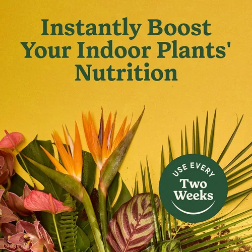 Vista 7 de Miracle-Gro - Alimento para plantas de interior para todas las plantas, 8 onzas líquidas (paquete de 2)