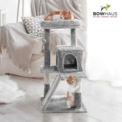 Vista 7 de BOWHAUS Árbol alto para gatos grandes o gatitos de interior, árbol de actividades para gatos de varios niveles con postes rascadores, hamaca