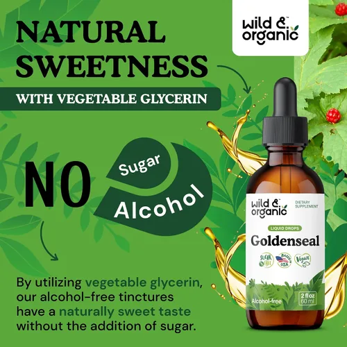 Vista 6 de Wild & Organic Goldenseal - Tintura de raíz – Limpieza pulmonar, apoyo inmunológico y digestivo – Suplemento líquido de sello dorado – Gotas