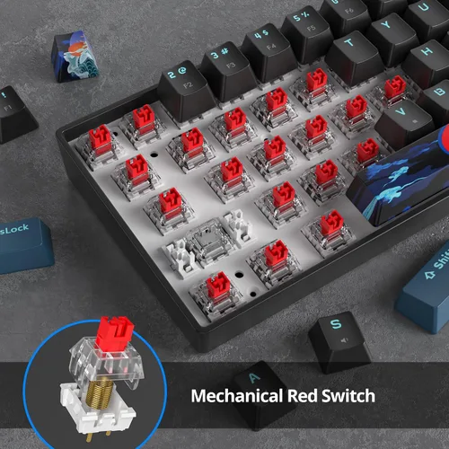 Vista 2 de Teclado mecánico 60% para juegos, 68 teclas, retroiluminación arcoíris, mini teclado compacto con cable con interruptor rojo para Windows Laptop
