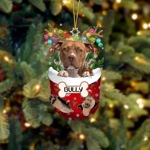 Vista 220 de IZI POD Affenpinscher Adorno de Navidad personalizado para perro, adorno de bolsillo de nieve para perro para árbol de Navidad, adorno acrílico
