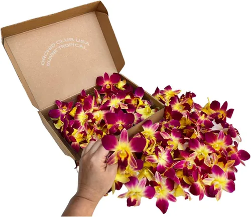 Vista 7 de Miami Fresh Orchid Flores perecederas de floración suelta OrchidClub USA Sunne Tropical DIY lei, decoración de alimentos y bebidas (100 azul)