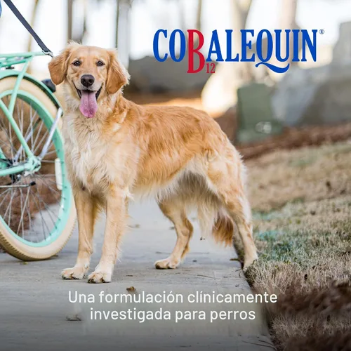 Vista 2 de Nutramax Cobalequin Vitamina B12 para perros de más de 21 libras, tabletas