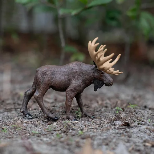 Vista 4 de Safari Ltd. Figura de alce – Figura de animal realista de 5 pulgadas – Juguete educativo para niños, niñas y niños a partir de 1 año