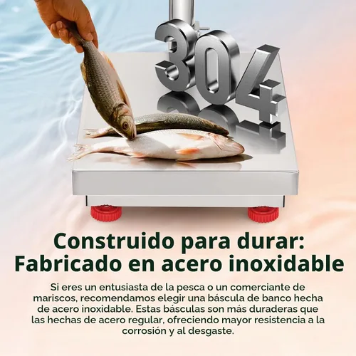 Vista 2 de Bonvoisin Báscula digital de plataforma con plataforma de acero inoxidable, 660 libras, báscula de piso de almacén resistente para pesaje