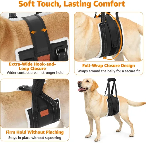 Vista 3 de LOOBANI Arnés de elevación para perros para patas traseras, arnés portátil para perros grandes, soporte para patas traseras, cómodo soporte