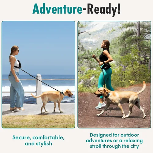Vista 8 de Correa de perro manos libres con bolsa de golosinas para perros, correa de cintura elegante y moderna para pasear al perro, para llevar