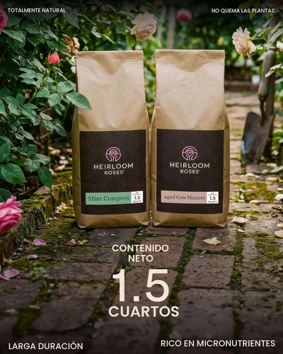 Vista 7 de Paquete de abono de menta y estiércol de vaca añejada por Heirloom Roses