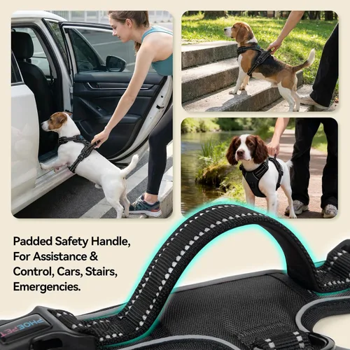 Vista 4 de PHOEPET Arneses para perros sin tirones para cachorros pequeños, chaleco reflectante ajustable con clip frontal con 2 ganchos de fijación de correa