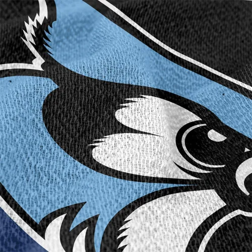 Vista 313 de LOGOVISION Manta Abilene Christian University, 50x60 Logo Primary WovenThrow