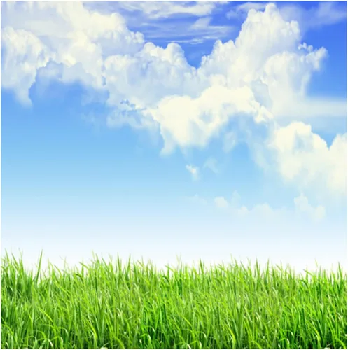 Vista 4 de Leyiyi Fondo de fotografía de pastizales de primavera de 4 x 4 pies, planta de jardinería, prado, cielo, nube, punto de luz, pradera del norte