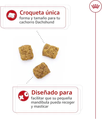 Vista 3 de ROYAL CANIN Dachshund Puppy - Alimento seco para perros, bolsa de 2.5