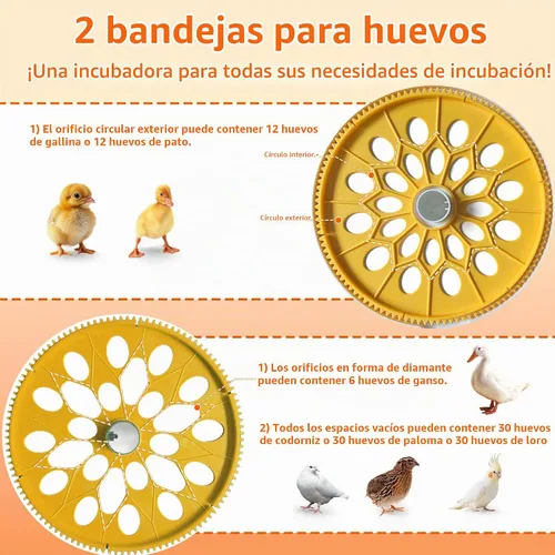 Vista 6 de Incubadoras de huevos de triocottage para incubar huevos, control de temperatura y humedad