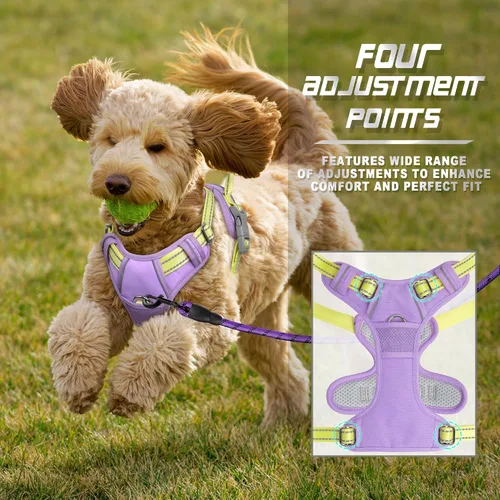 Vista 67 de BARKBAY - Arnés para perro sin tirones con clip frontal, material resistente y reflectante, asa de fácil control para pasear perros grandes