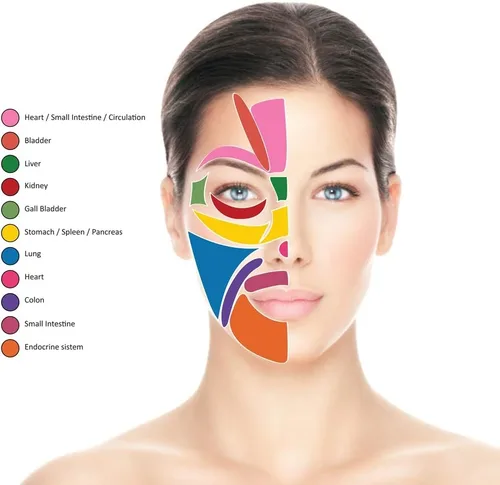 Vista 9 de Reflexology - Masajeador tailandés tradicional de madera para cuerpo completo, gancho para espalda, spa, cara, terapia Gua Sha, herramienta