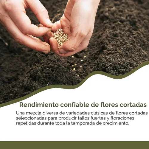 Vista 8 de Cut Flower Garden Seed Mix – Más de 15,000 semillas – Paquete extra grande de 1 onza – Semillas de flores sin OMG – Zinnia, Cosmos, Larkspur
