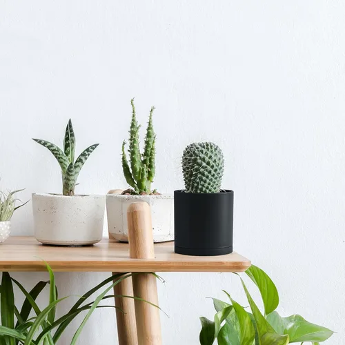 Vista 3 de D'vine Dev Paquete de 2 macetas de plástico modernas de 4 pulgadas, pequeñas macetas de jardín para plantas con agujeros de drenaje y platillos
