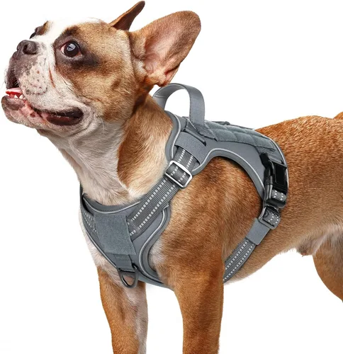 Vista 34 de rabbitgoo - Arnés para perros pequeño sin tirones, chaleco táctico de servicio con Molle y asa de control, arnés militar ajustable y reflectante