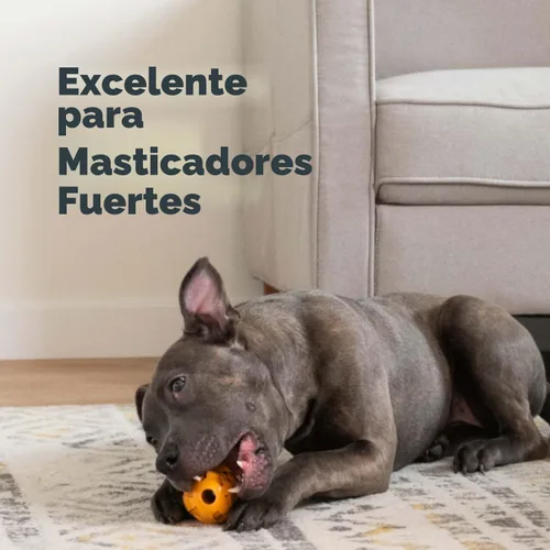 Vista 5 de Oxyfresh Juguete dental masticable para perros, el mejor juguete de limpieza de dientes de perro, un simple juguete de mordida y cepillo que ayuda a