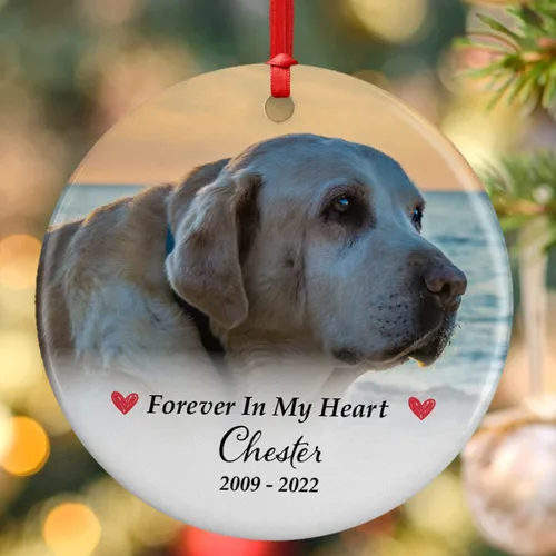 Vista 8 de Regalos conmemorativos para mascotas, adorno personalizado con foto conmemorativa para perro, personalizado con nombre y fecha, Forever in Our