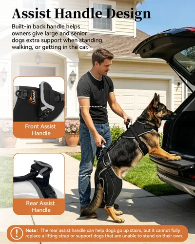 Vista 6 de Soporte ajustable para perro ACL pata trasera, ambas piernas mejoradas, tamaño L