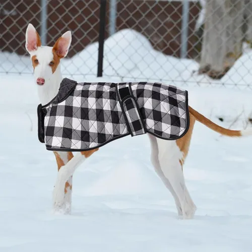 Vista 6 de Geyecete Abrigo impermeable para perro Greyhound Whippet Lurcher con forro polar cálido en el interior, ropa para perros al aire libre con bandas