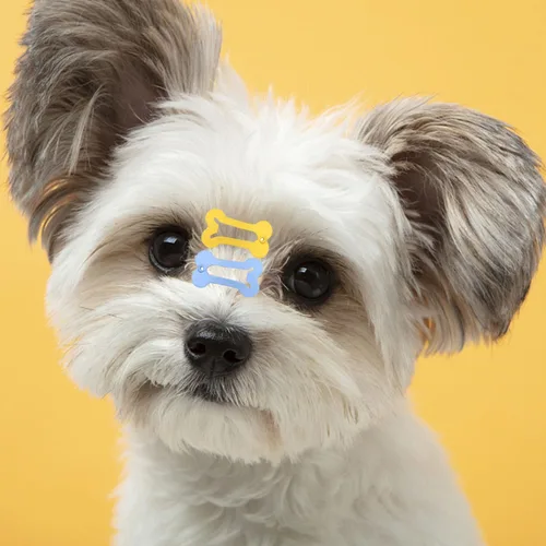 Vista 2 de BOYIVI 48 pinzas para el pelo para perros de 1 pulgada con forma de hueso, pasadores para el pelo de mascotas, accesorios para el cabello multicolor