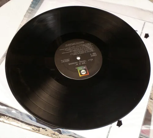 Vista 3 de Rub It In Vinyl LP