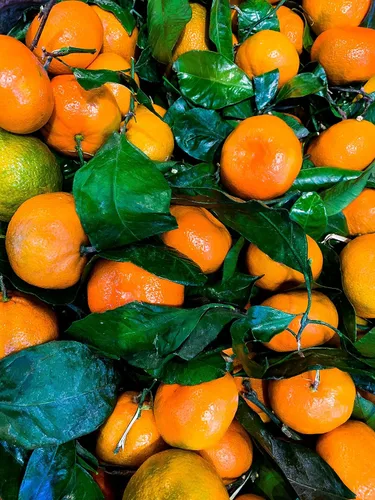 Vista 5 de Mandarina fresca Satsuma de California (2.5)