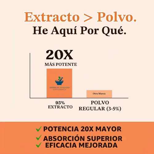 Vista 4 de American Standard Supplements Extracto de cúrcuma – Curcumina 95% con extracto de raíz de jengibre y extracto de pimienta negra – 60 cápsulas