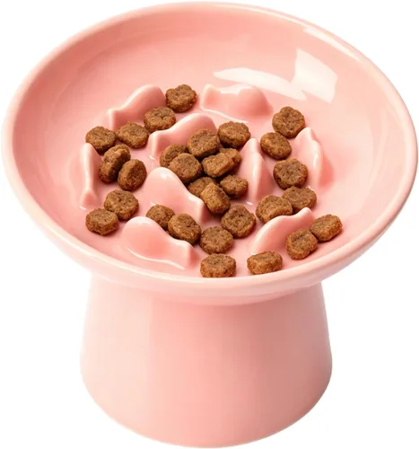 Vista 8 de Cuenco elevado de cerámica para alimentación lenta para gatos, plato ancho poco profundo de 6 pulgadas, cuenco de comida para gatos antivómitos
