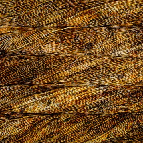 Vista 8 de Malabrigo Mechita Hilo teñido a mano (005 - Aniversario)