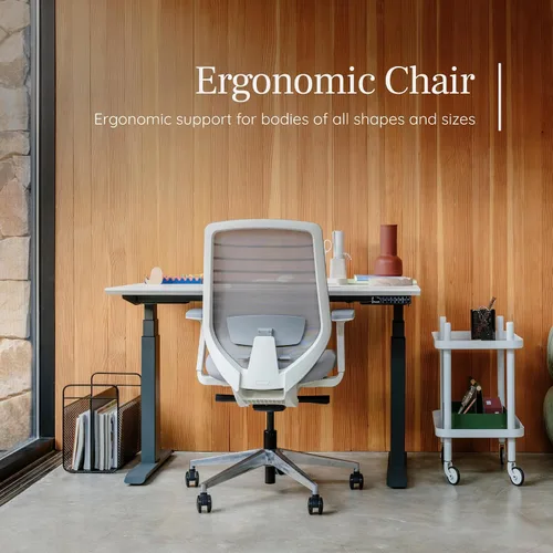 Vista 5 de Silla ergonómica Branch - Una silla de escritorio versátil con soporte lumbar ajustable, respaldo de malla transpirable y ruedas suaves - Grafito