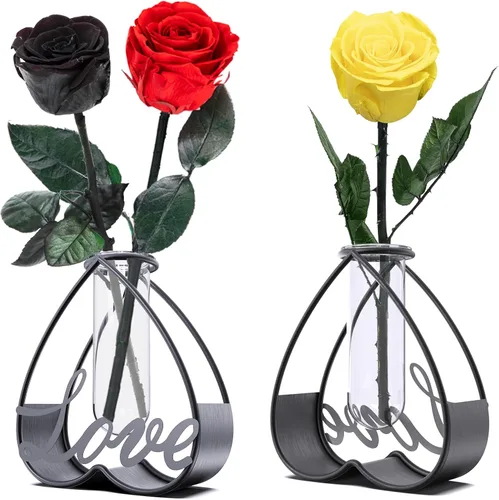 Vista 3 de Decoración del hogar, jarrones de metal con marco de arte de hierro, jarrones de centro de mesa de vidrio para flores secas y flores artificiales