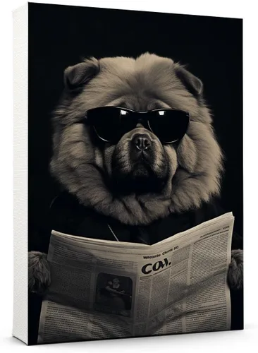Vista 45 de Thuan Affenpinscher - Póster de lienzo con tus fotos, arte de pared para decoración del hogar, regalo conmemorativo para amantes de las mascotas