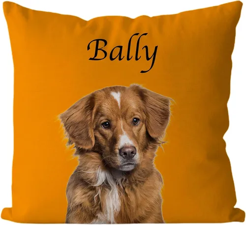 Vista 7 de Almohadas personalizadas para mascotas genéricas, almohadas con foto personalizada, almohadas personalizadas con fotos, almohadas para mascotas