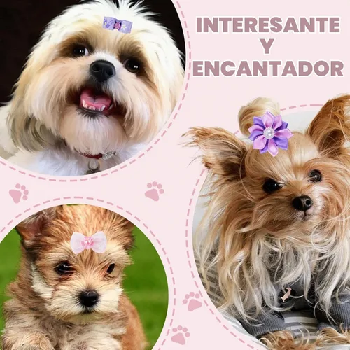 Vista 6 de 22 lazos para el pelo de perro con bandas elásticas de goma, accesorios para el pelo de cachorros pequeños con perlas de flores de mariposa, lazo