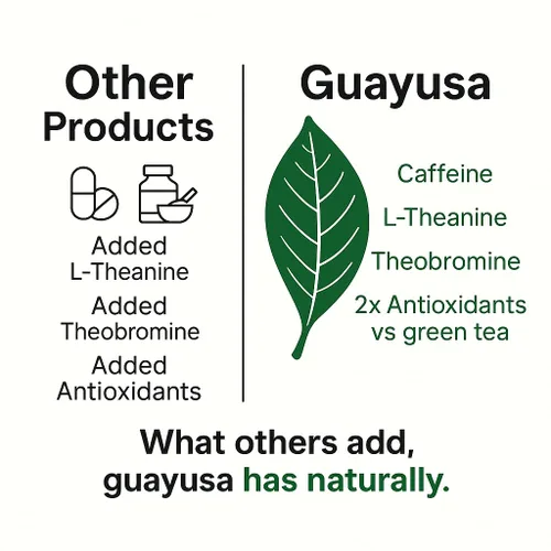Vista 5 de Bolsas de té Guayusa de PACHA Naturalmente altas en antioxidantes, L-teanina y teobromina Té de hierbas de energía sostenida Alternativa a