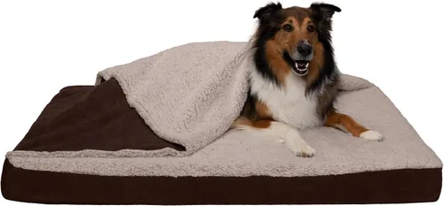 Vista 11 de Furhaven Funda de repuesto para cama de perro, estilo sofá, de pelo sintético y terciopelo, color salvia oscura, talla M