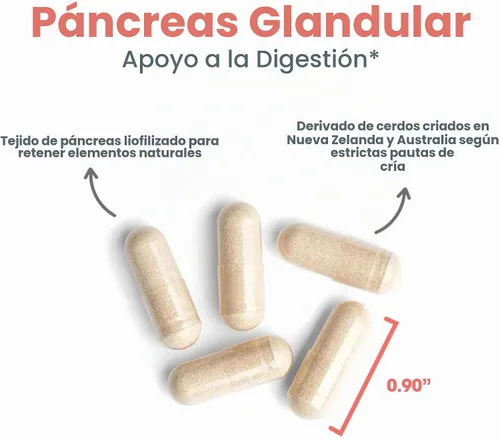 Vista 4 de ARG Pancreas Natural Glandular 425 mg Cerdo, 60 Cápsulas