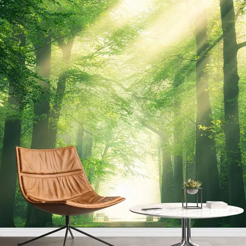 Vista 15 de Papel tapiz Signford para pared, desprendible, diseño de bosque, para dormitorio y sala de estar