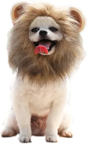 Vista 4 de Gorro para mascotas, 2 unidades para perro y melena de león para Halloween, disfraz de cosplay ajustable, gato y león para gatos, cachorros, perros