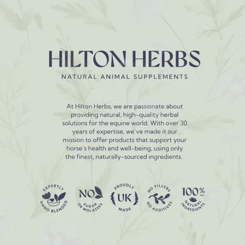 Vista 8 de Hilton Herbs Suplemento de apoyo para la glándula suprarrenal canina para perros, bañera de 4.4 onzas