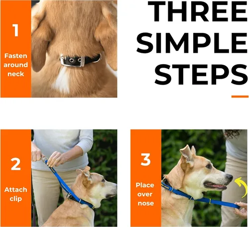 Vista 2 de Canny Gentle - Collar de cabeza de entrenamiento para perros sin tirones, color negro, talla 4 Kind, safe, comfortable & gentle, trains your dog