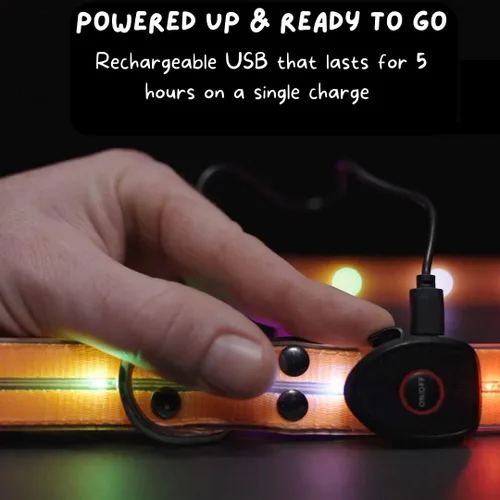 Vista 4 de Correa LED para perros para paseos nocturnos seguros y pacíficos, correa de perro con luz LED de alta visibilidad, correa iluminada para perro
