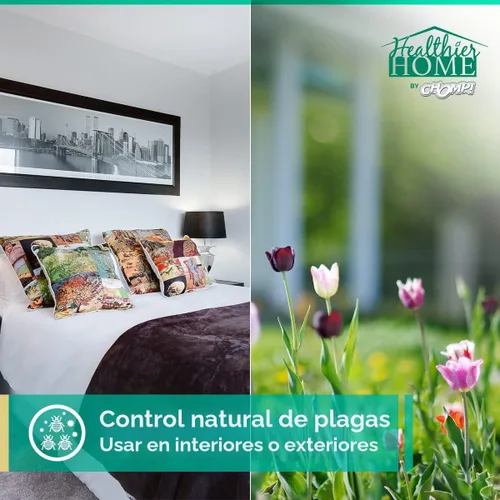 Vista 3 de CHOMP! Spray repelente de insectos de tamaño para viajes, natural, control de plagas de interior aprobado por la TSA para viajes y hogar, a base